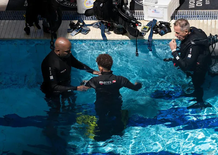 Swiss Wellness Dive *