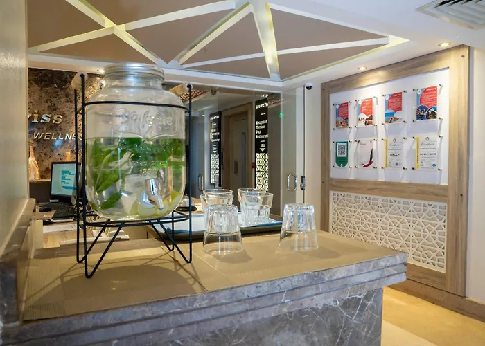 Swiss Wellness Dive