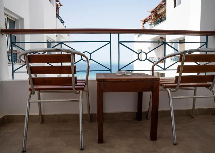 Swiss Wellness Dive